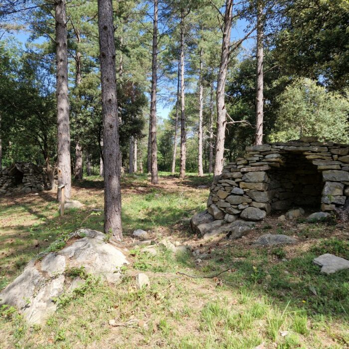 Cabanes en pierre au coeur de la forêt