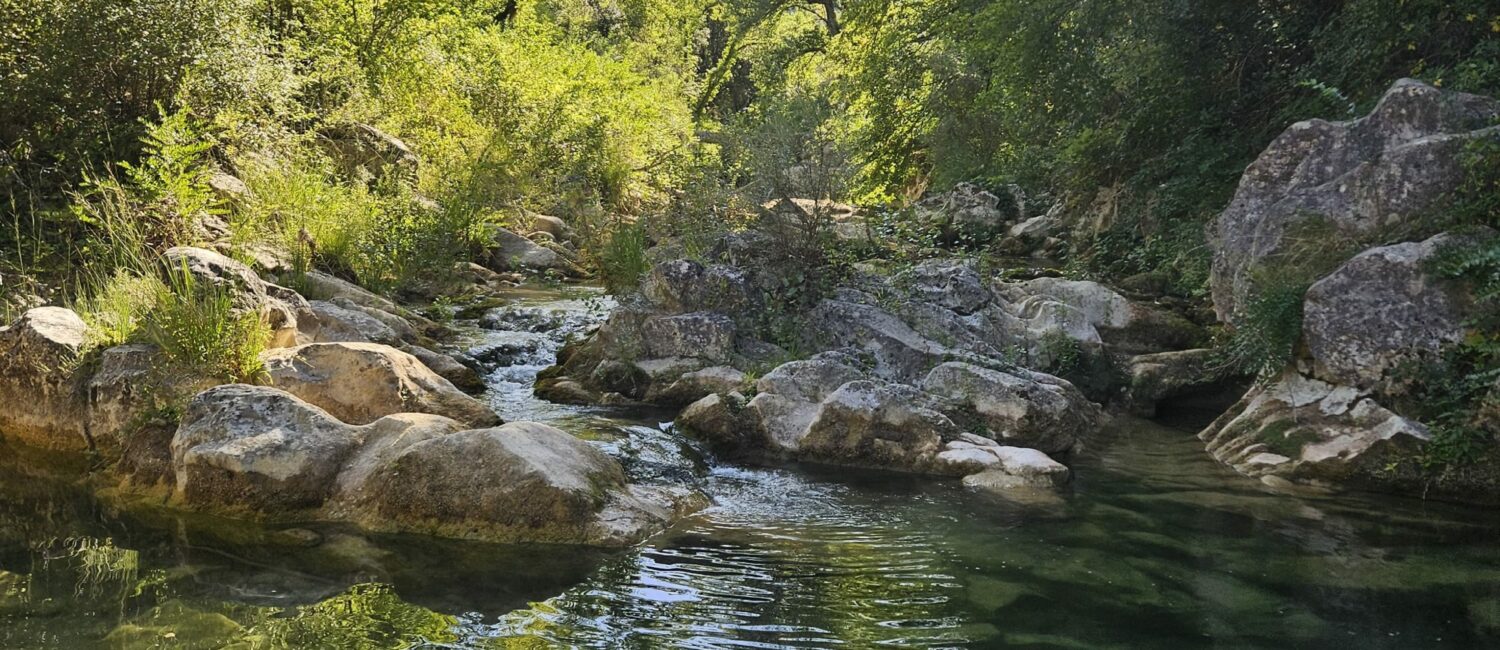 Le Lauquet au coeur de la forêt