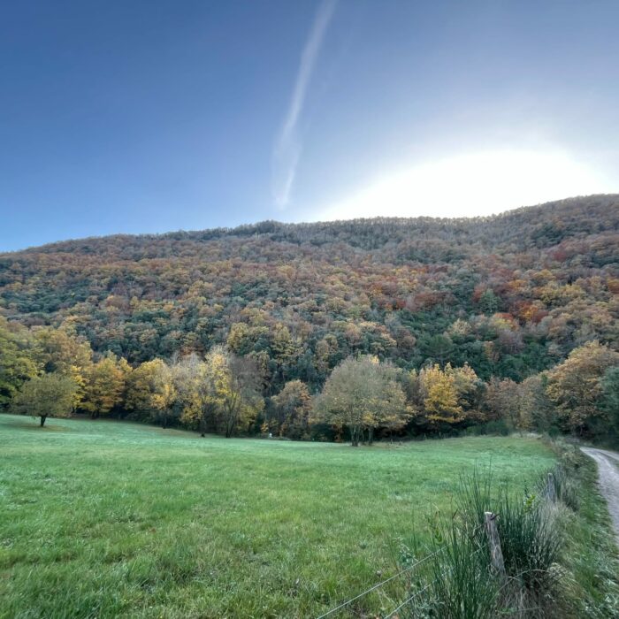 Plaine automnal de Greffeil