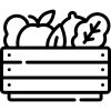 legumes legumes